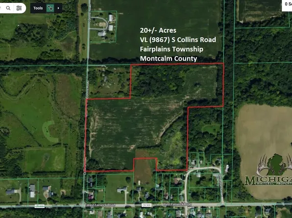 9867 S Collins Rd, Fenwick, MI 48834