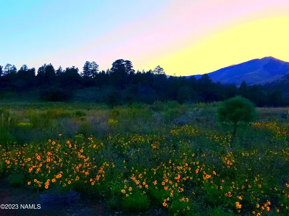 4715 E Lenox Rd, Flagstaff, AZ 86004