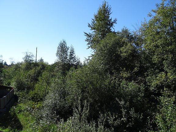 2nd image of 14508 17th Ave W