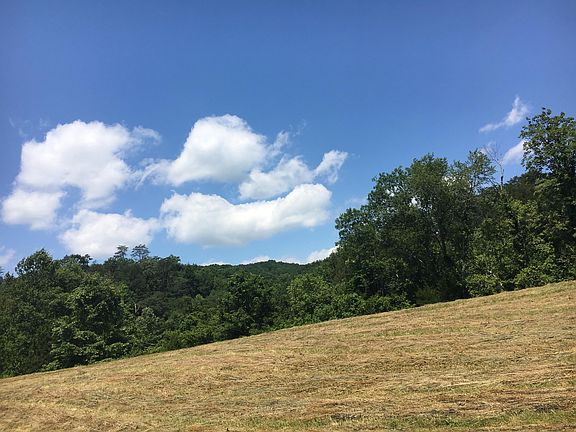 5th image of Skaggs Hollow Rd