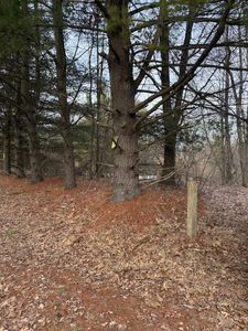 4311 S Youngman Rd, Greenville, MI, 48838