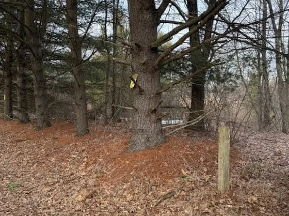 4311 S Youngman Rd, Greenville, MI 48838