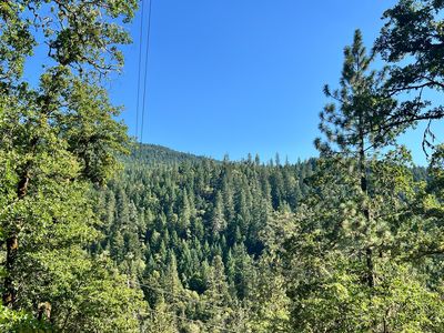 4234 Placer Rd, Wolf Creek, OR, 97497