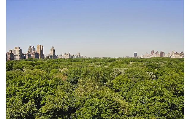 Sold by Douglas Elliman | media 13