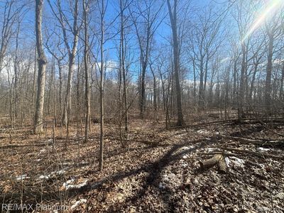 Hartland Rd, Fenton, MI, 48430