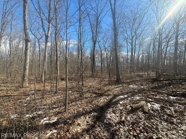 Hartland Rd, Fenton, MI 48430