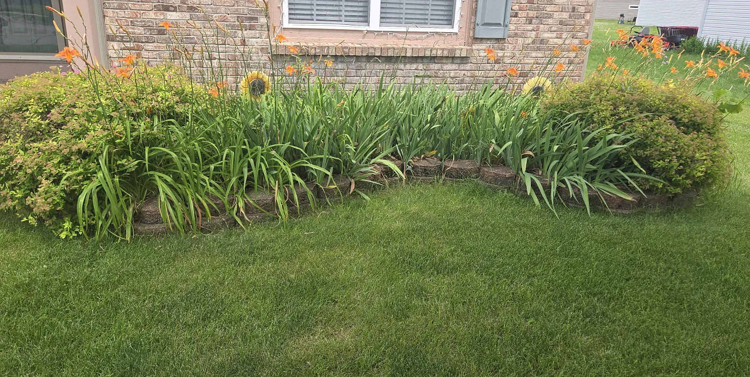 4 bed, 4200 sqft, $4,700 — Photo 4
