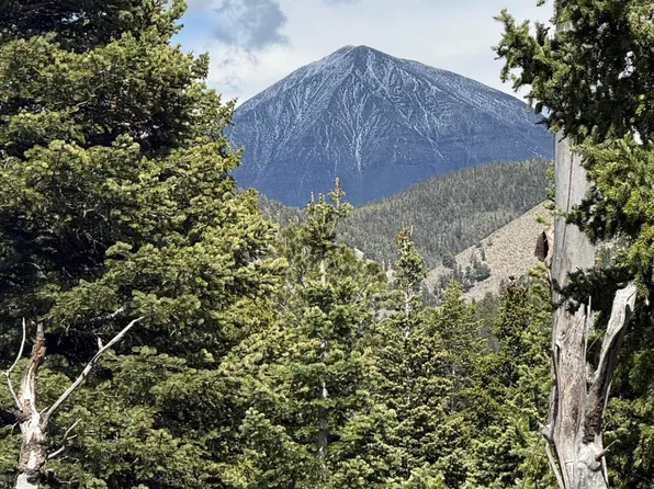 Baker Creek Road Panadero Loop Lot 27, La Veta, CO 81055
