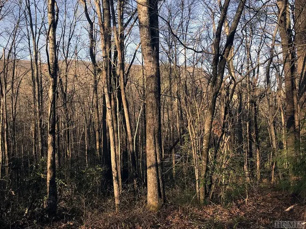 Lt 26 Holly Road, Sapphire, NC 28774