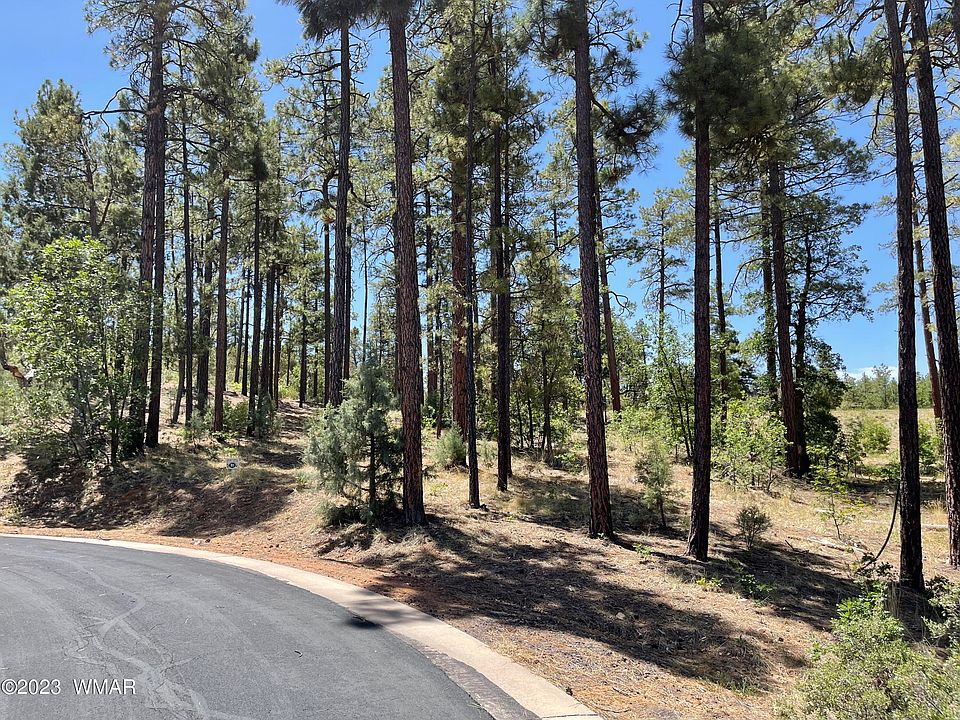 1st image of 1960 Silvertree Ln