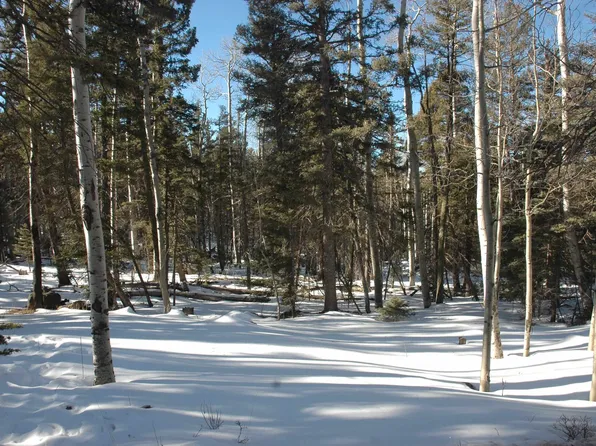 LOT 215 Taos Dr, Angel Fire, NM 87710