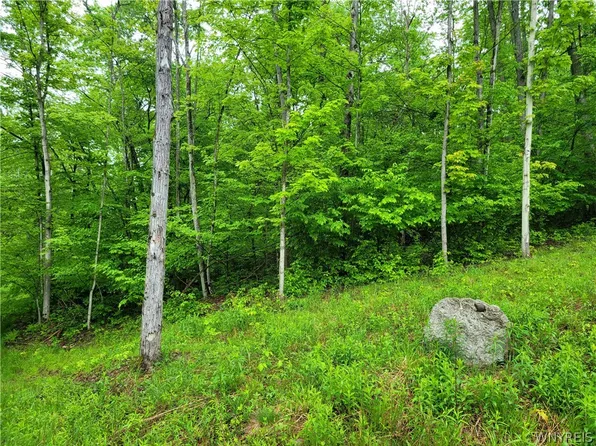 0 County Road 24 Lot 1, Swain, NY 14884
