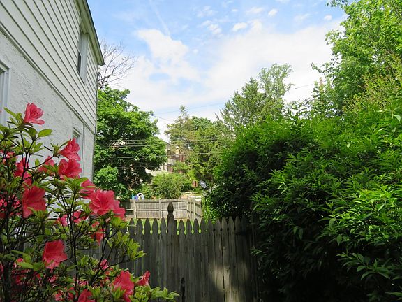 View into the private, fenced backyard.