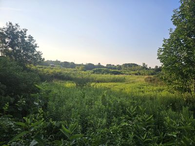 6635 Schnurr Ln, Middleville, MI, 49333