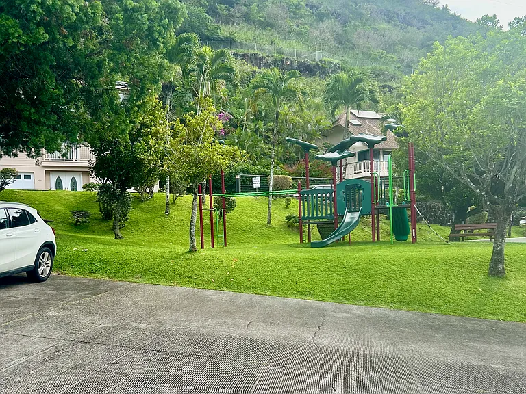 116 Hanupaoa Pl #A — Photo 27