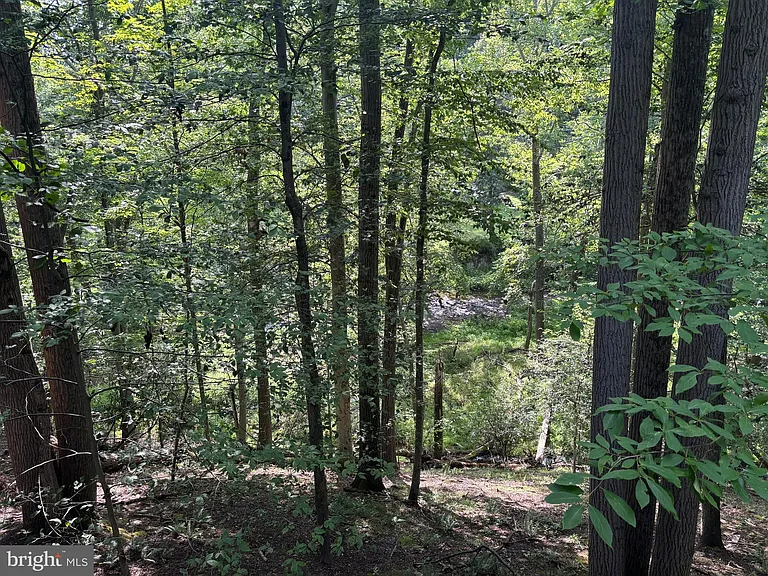 6489 Old Carversville Rd — Photo 15