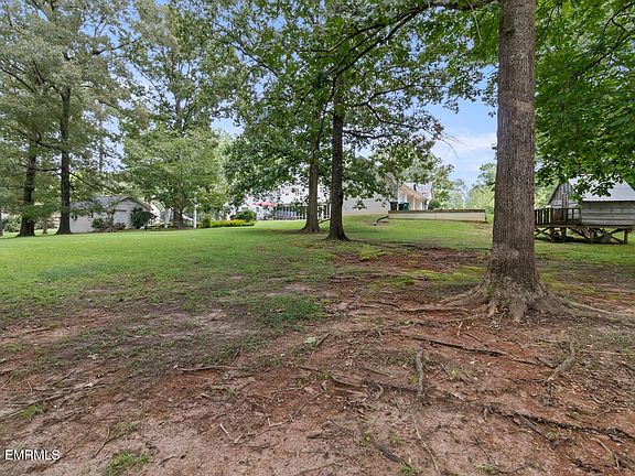 5th image of 7697 Confederate Dr