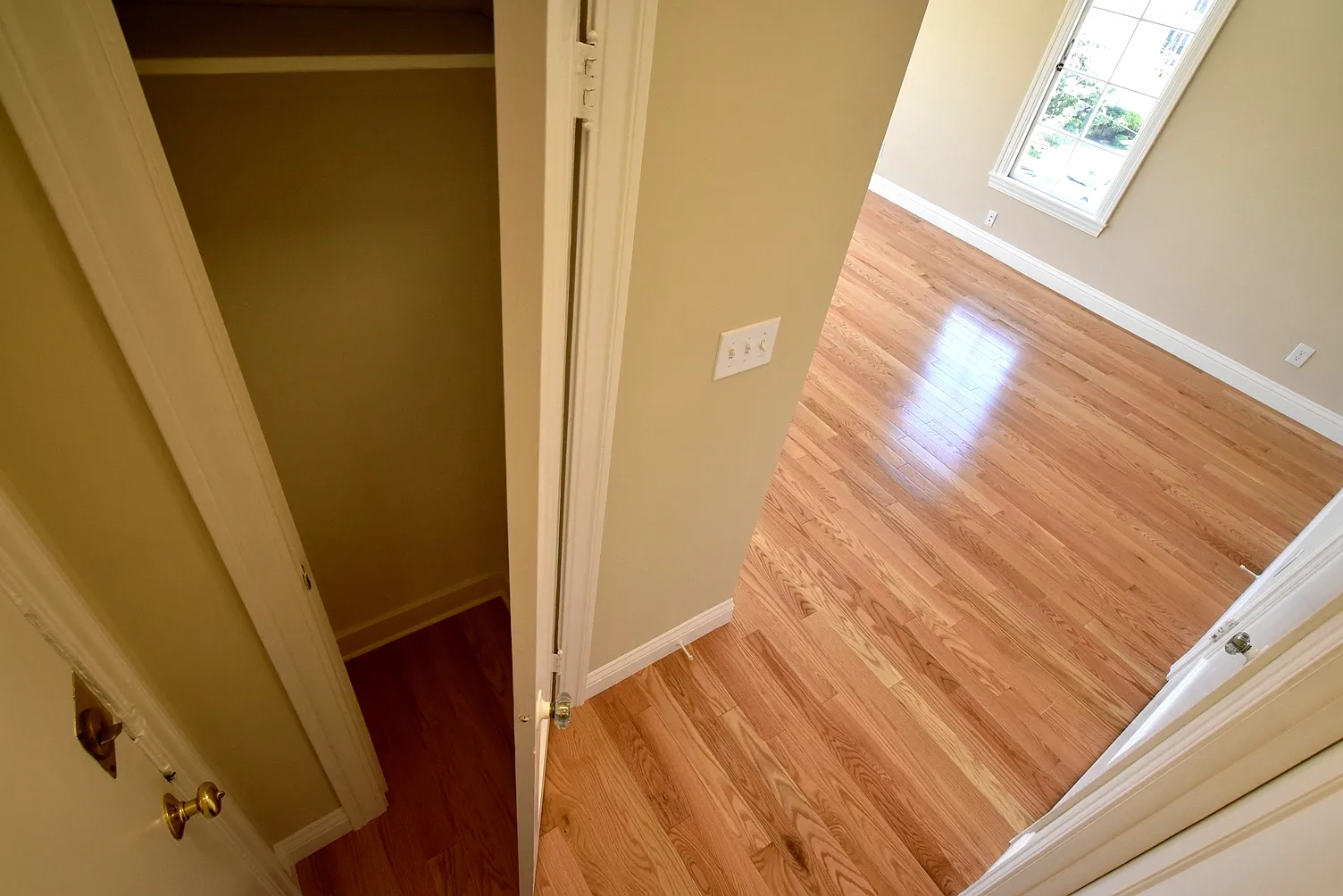 Studio, 450 sqft, $1,795 — Photo 4