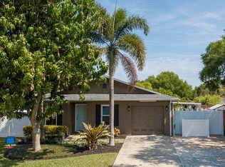 2909 Trudy Ln, Tampa, FL 33611