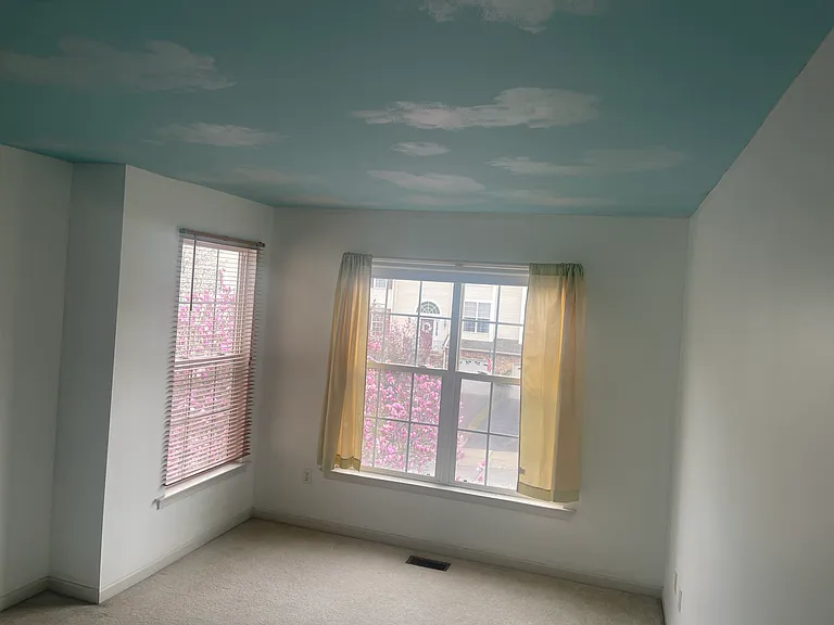 243 Birchwood Dr — Photo 19