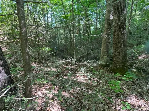 425 Big Piney Loop, Wilder, TN 38589