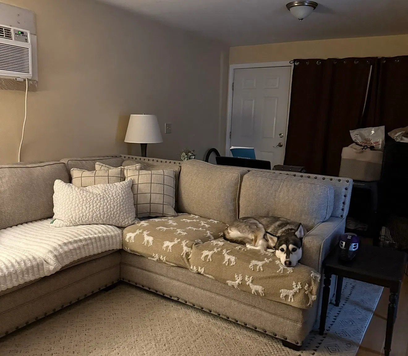 3 bed, 1100 sqft, $1,725 — Photo 3