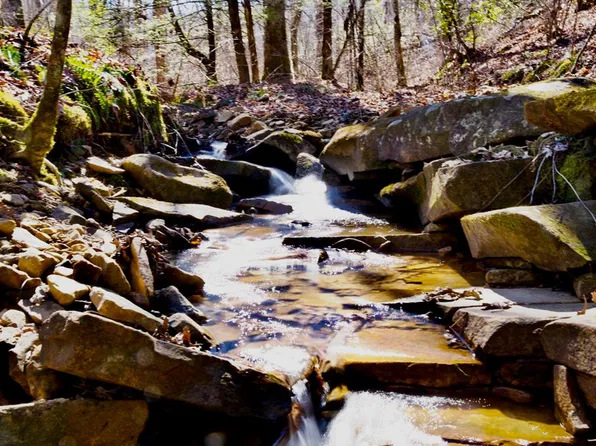 266AC Meadow Lark Rd, Dunlap, TN 37327