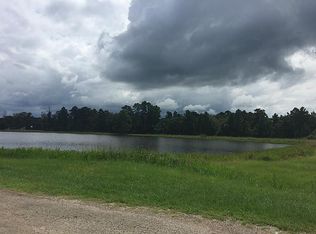 25374 Shoreline Dr, Hockley, TX 77447