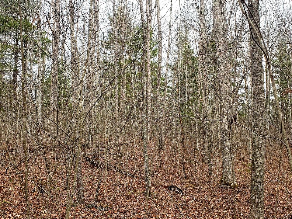 2nd image of Lot 1006 Spruce Creek Dr Lot 1006