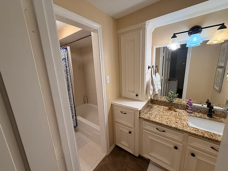 6035 Spring Creek Grove Ln — Photo 21
