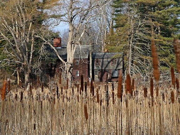 On a Tidal Marsh