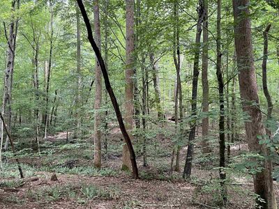 4240 Purnell Rd #TR6, Wake Forest, NC, 27587