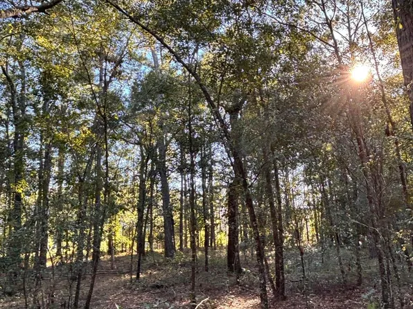 0 Miss Kitty Ln, Moncks Corner, SC 29461