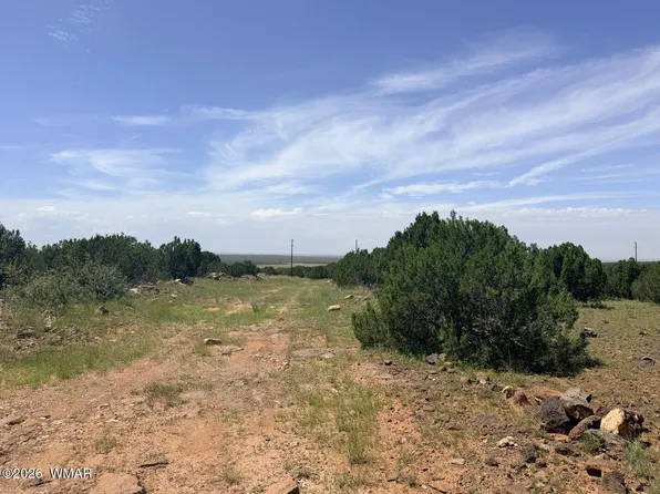 8564 Pine Ln, Show Low, AZ 85901