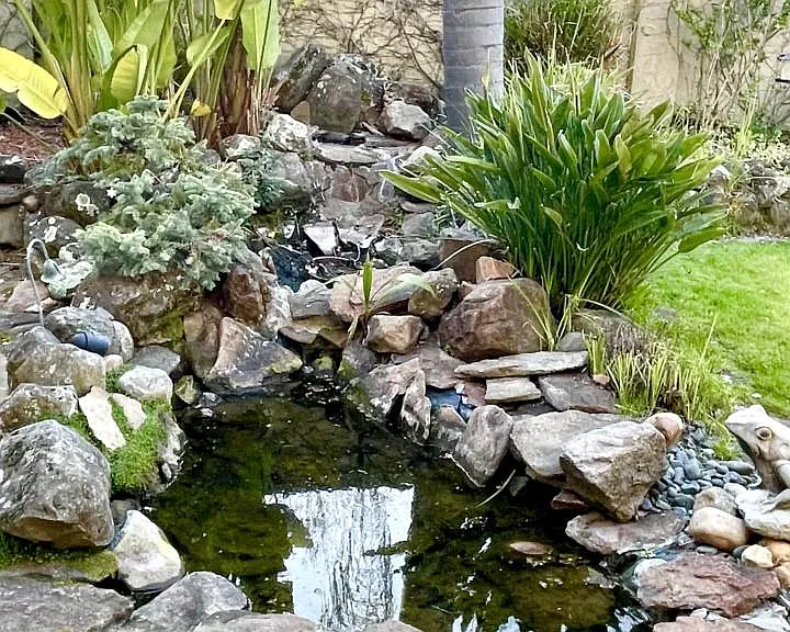 41 Presidio Dr — Photo 49