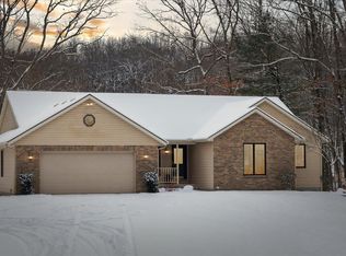 4669 Forest Vale Rd, Pierson, MI 49339