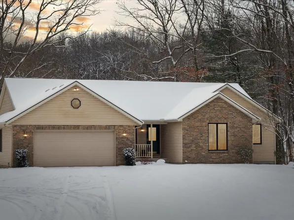 4669 Forest Vale Rd, Pierson, MI 49339