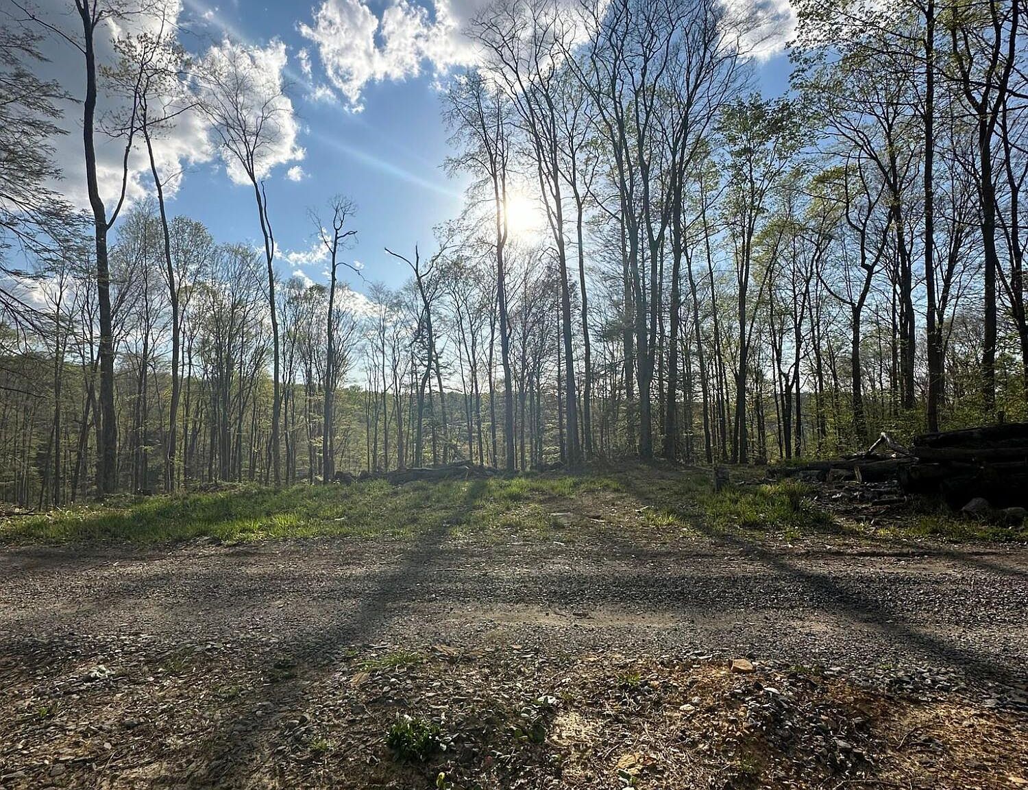 0 State Highway 18, Nettie, WV 26681 MLS 24210 Zillow