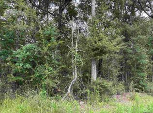 Tbd Duff Rd, Walker, LA 70785