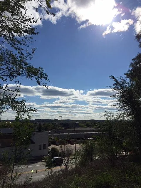 2 bed, 900 sqft, $1,200 — Photo 3