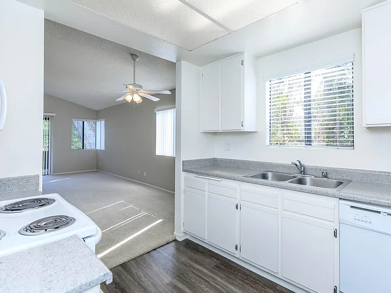 Spring Lakes Apartment Homes — Photo 38