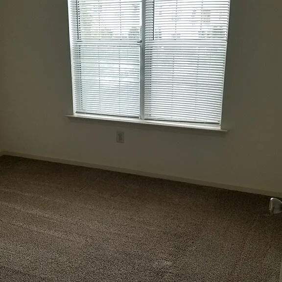 429 Derry Dr — Photo 3