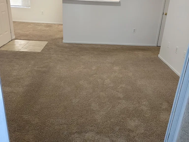 5710 E Tropicana Ave #1152 — Photo 35