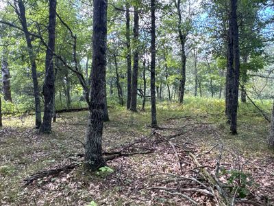 French Rd, Danbury, WI, 54830