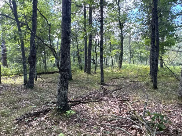 French Rd, Danbury, WI 54830