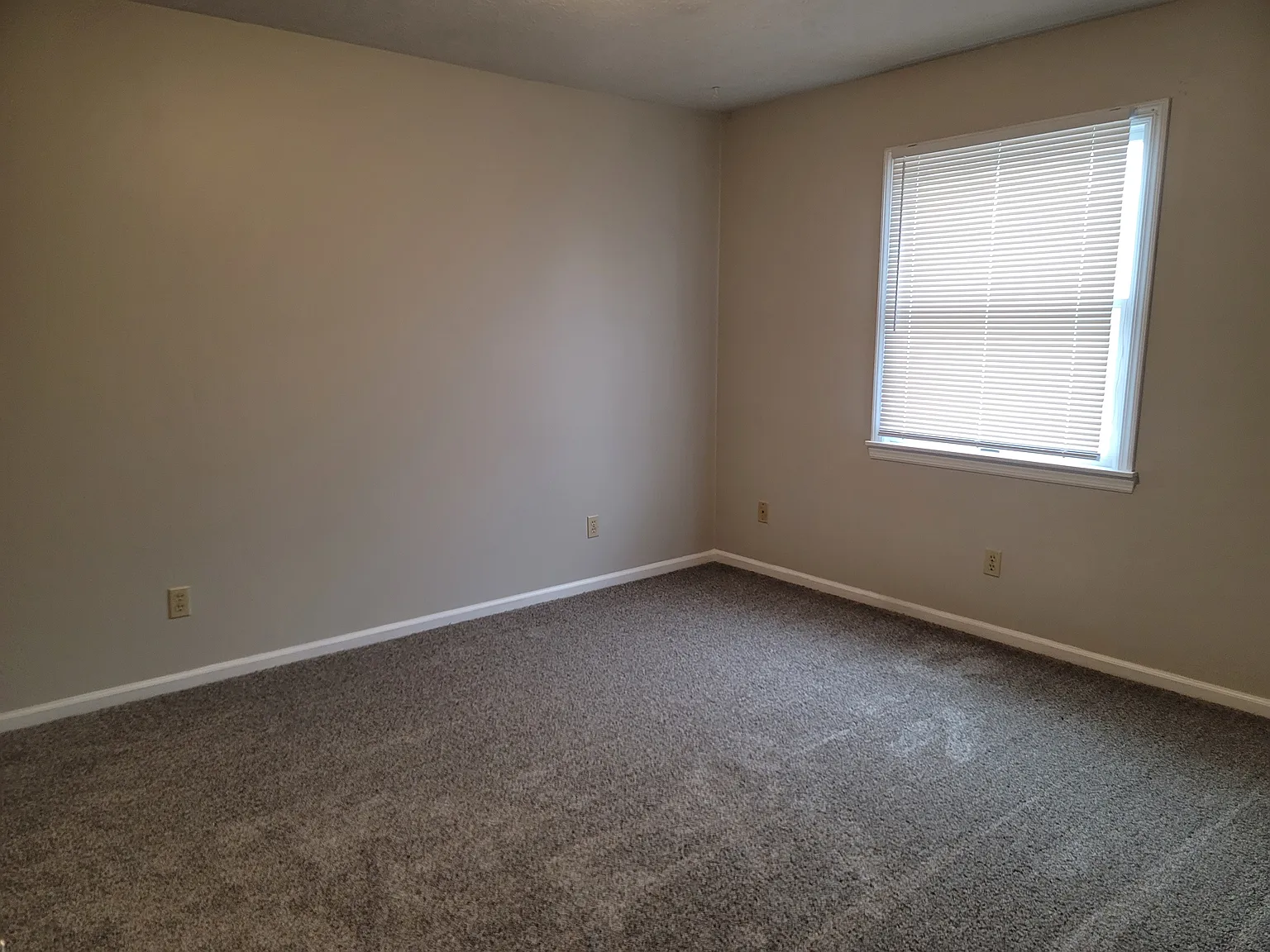 258 Wildwood St — Photo 4