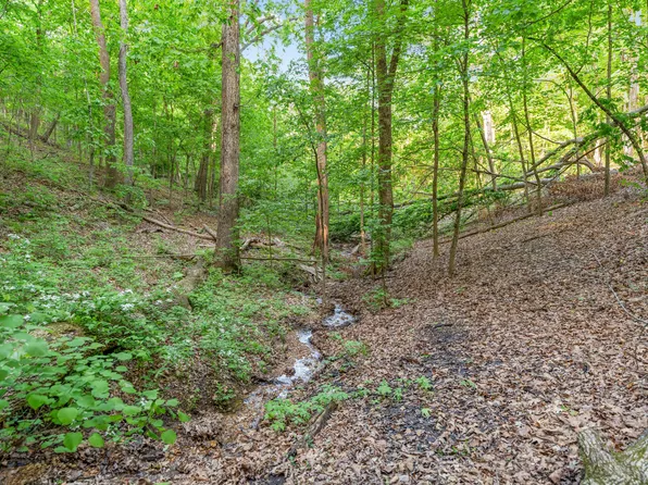 000 El Monte Road Lot 3, Branson, MO 65616