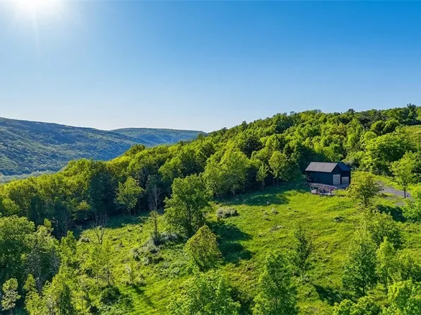 10.10 Cheese Hill Rd, Rensselaerville, NY 12147