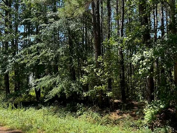 3rd image of 7 Orange Blossom St Lot 18