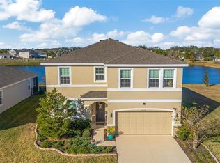 16638 Mooner Plank Cir, Wimauma, FL 33598